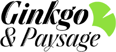Logo_header
